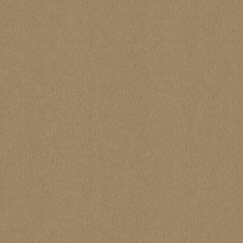 Ulster Carpets Ulster Velvet Mullion carpet swatch