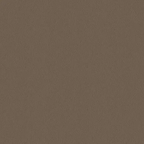 Ulster Carpets Ulster Velvet Mushroom carpet swatch