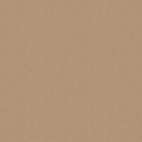 Ulster Carpets Ulster Velvet Oatmeal carpet swatch