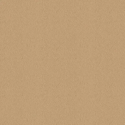 Ulster Carpets Ulster Velvet Putty carpet swatch
