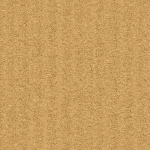 Ulster Carpets Ulster Velvet Pyramid carpet swatch