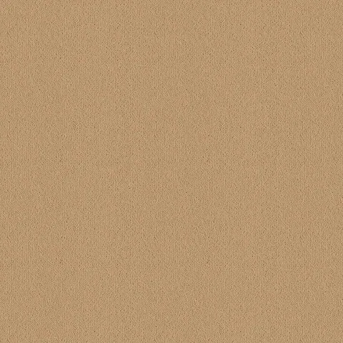 Ulster Carpets Ulster Velvet Straw carpet swatch