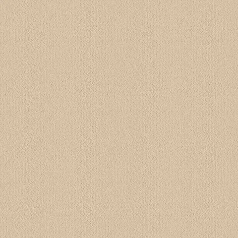 Ulster Carpets Ulster Velvet Suede carpet swatch