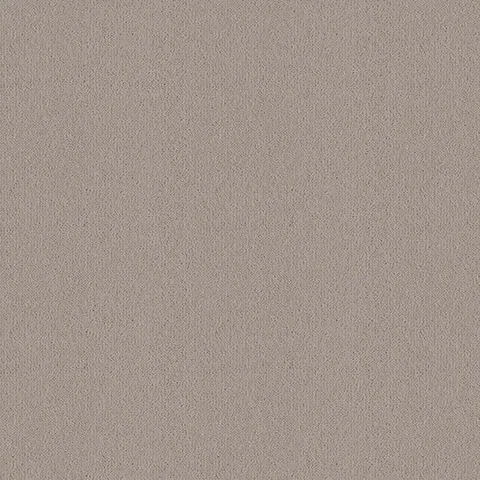 Ulster Carpets Ulster Velvet Tankard carpet swatch