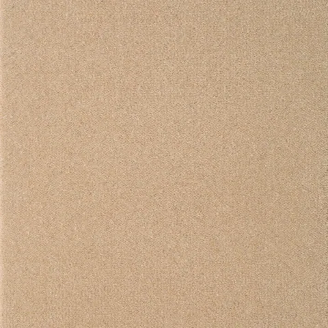 Brintons The Velvet Collection by Brintons Cordelia Beige carpet swatch