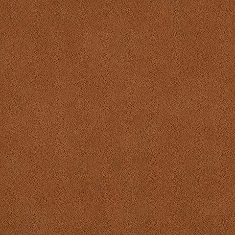 Ulster Carpets York Wilton Brandysnap carpet swatch