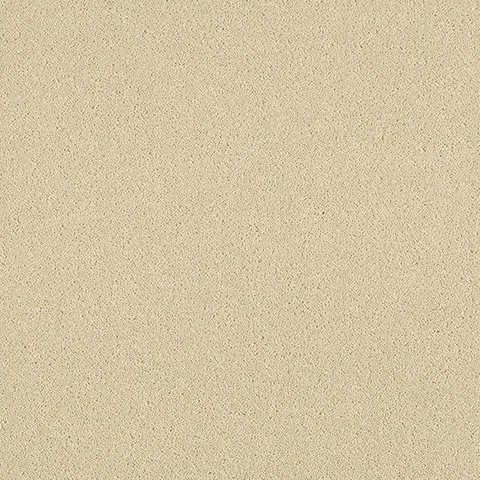 Ulster Carpets York Wilton Ecru carpet swatch
