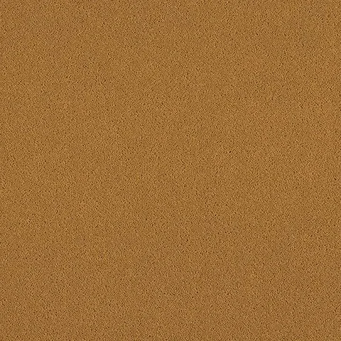 Ulster Carpets York Wilton Old Gold carpet swatch